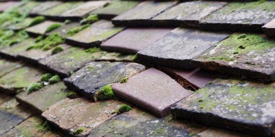 Ibstock roof repair costs